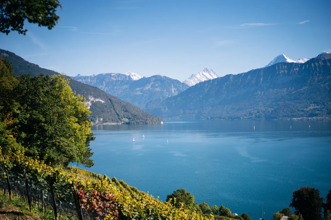 Bild vom oberen Thunersee mit der Verengung hin zum Kanal der nach Interlaken führt und den Bergen im Hintergrund.