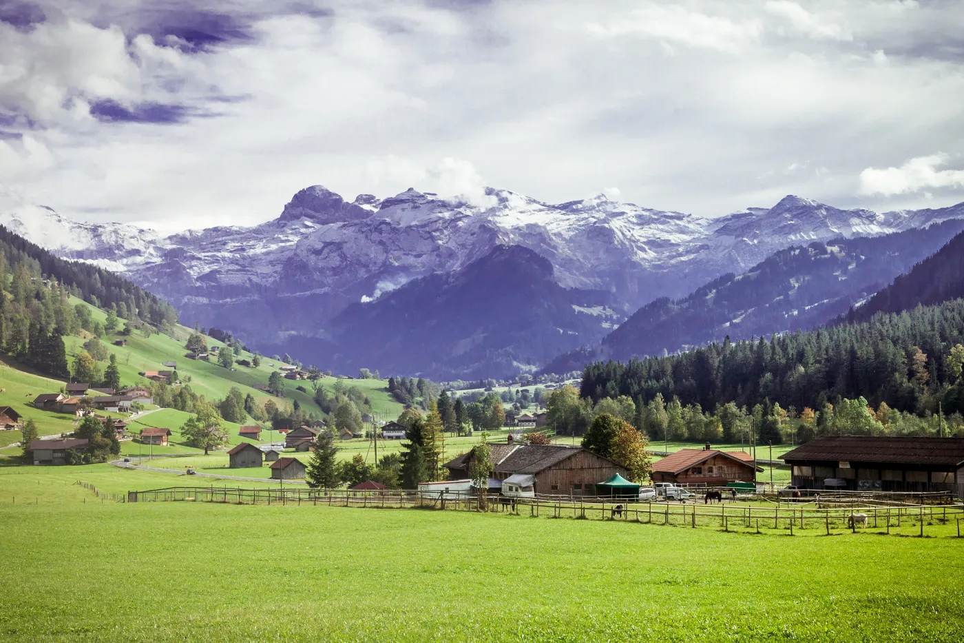 Bild mit einzelnen Häusern in satt grünen Weiden und Bergen des Berner Oberlandes im Hintergrund.