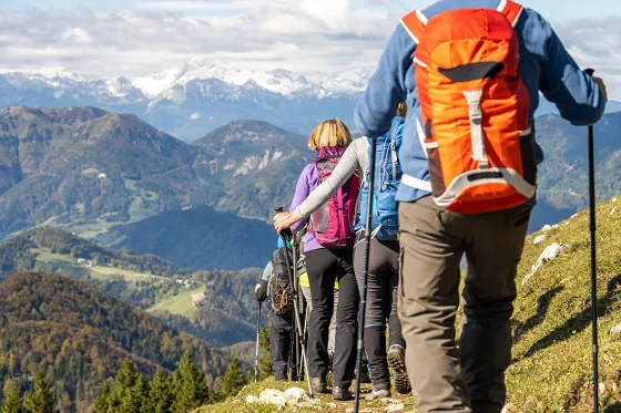 Bild eine Wandergruppe, alle Teilnehmenden mit Wanderstöcken, geht in Einerkolonne einen schmalen Weg hinunter. Die Aussicht ist auf bewaldete Hügel und im Hintergrund Schneeberge.