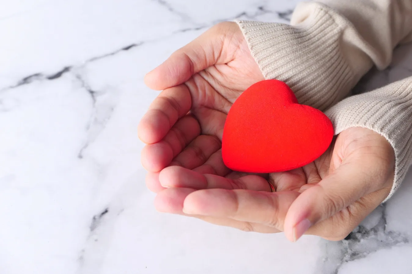 Bild zwei Hände halten ein rotes Herz