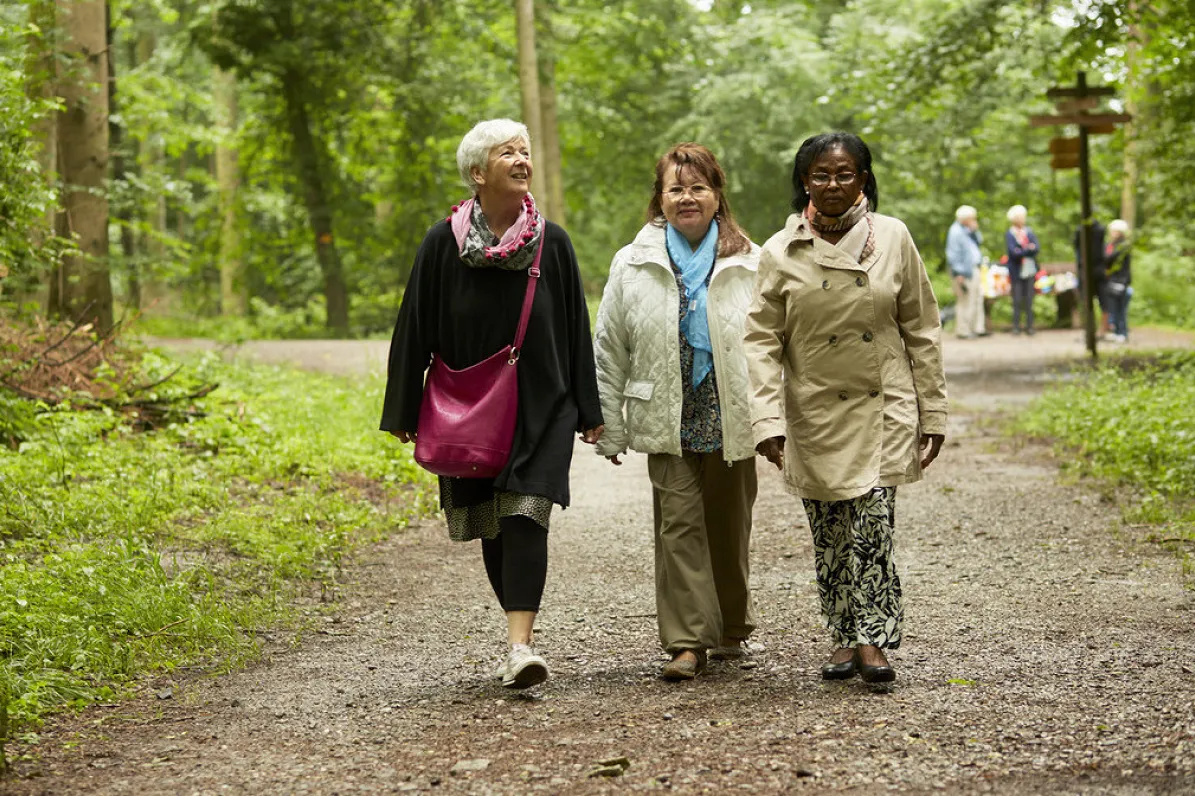 Bild Drei Frauen spazieren auf einem breiten Waldweg. Im Hintergrund ist ein Wegweiser an der Weggabelung.
