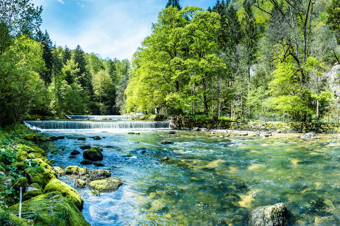 Bild ein breiter Fluss fliesst von Wald umgeben über zwei Wasserschwellen dahin.